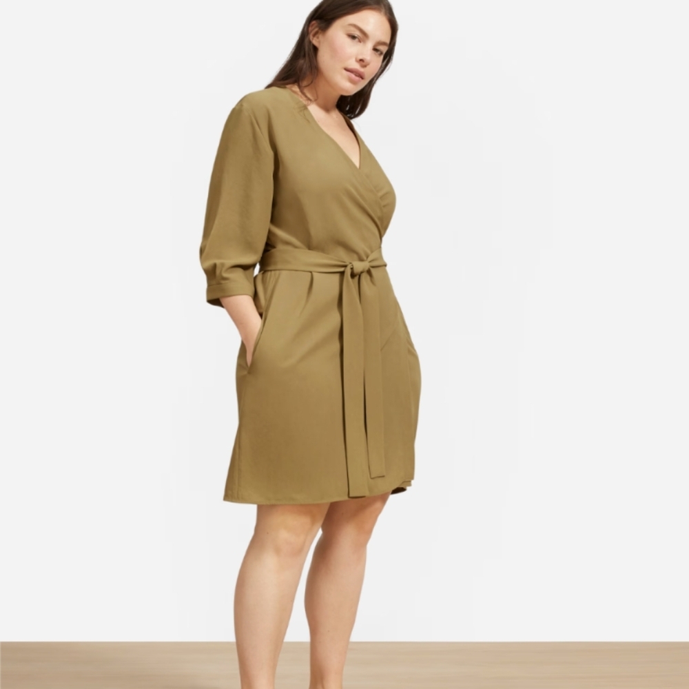Everlane Japanese GoWeave Wrap Dress